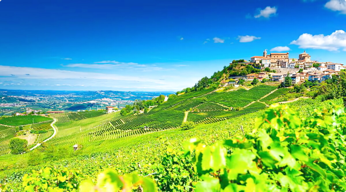 Barbaresco