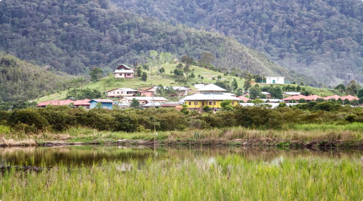 Bario