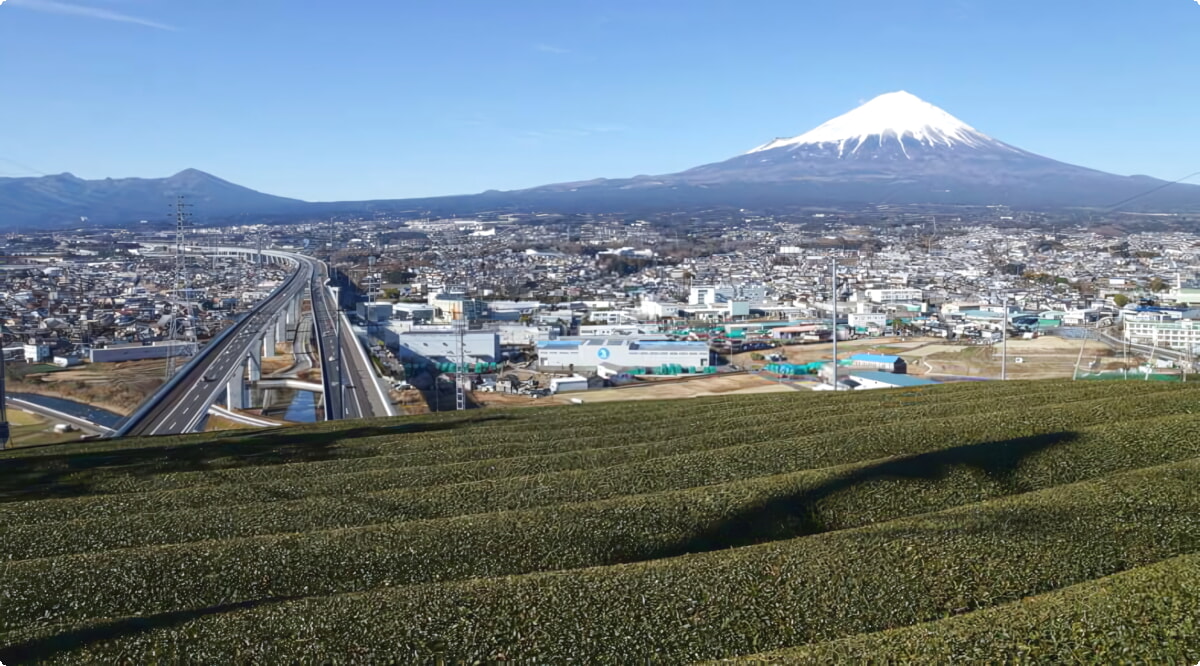 Fuji